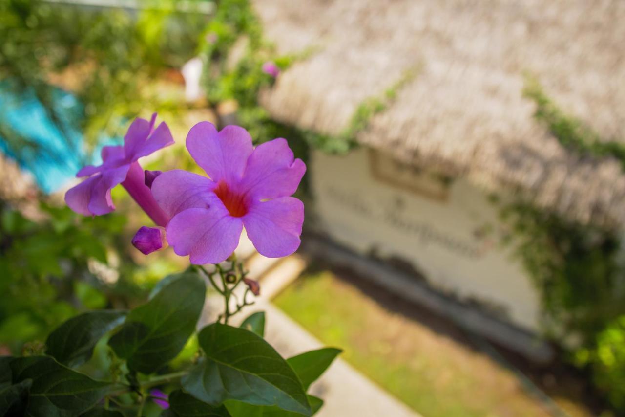 Hotel Villas Mariposas Atlixco Eksteriør bilde