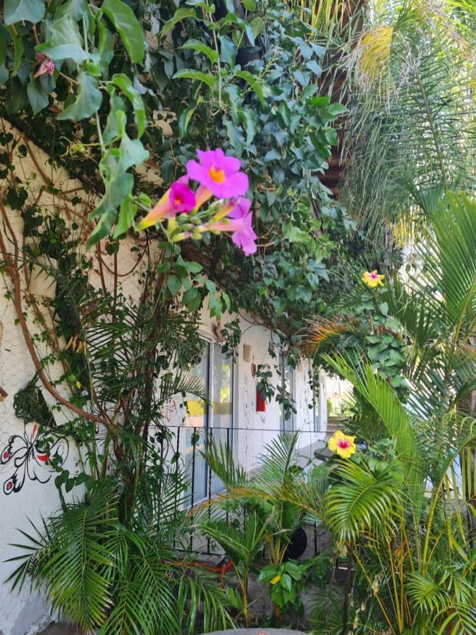 Hotel Villas Mariposas Atlixco Eksteriør bilde